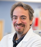 Ari Melnick
